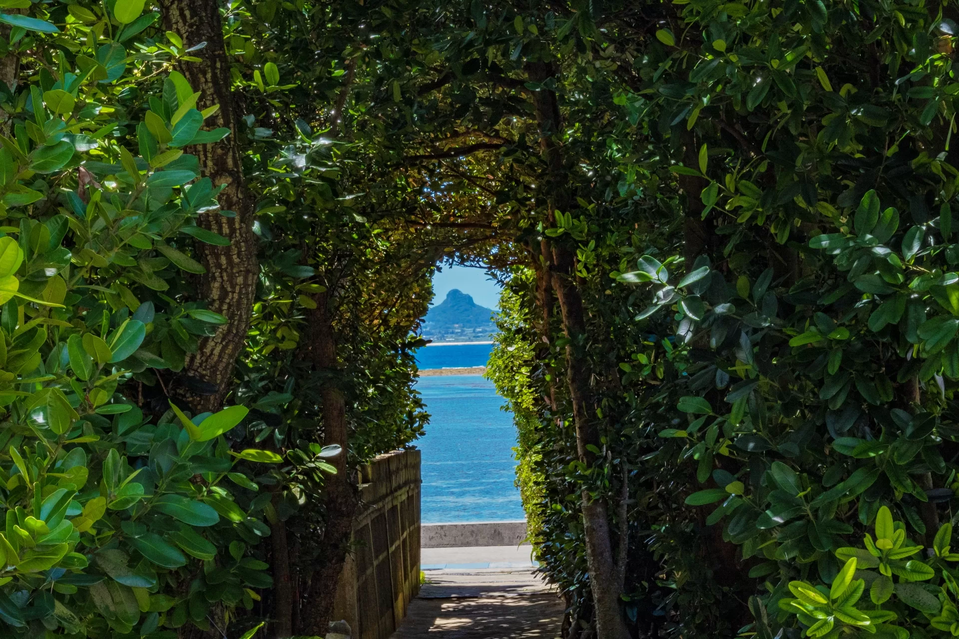沖縄旅行の締めはどうしますか?