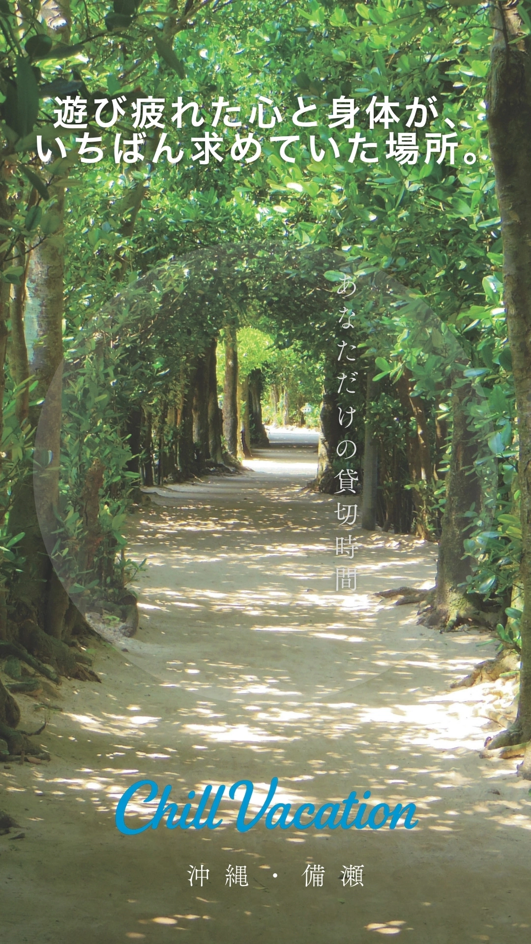 備瀬のフクギ並木で過ごす癒しの時間